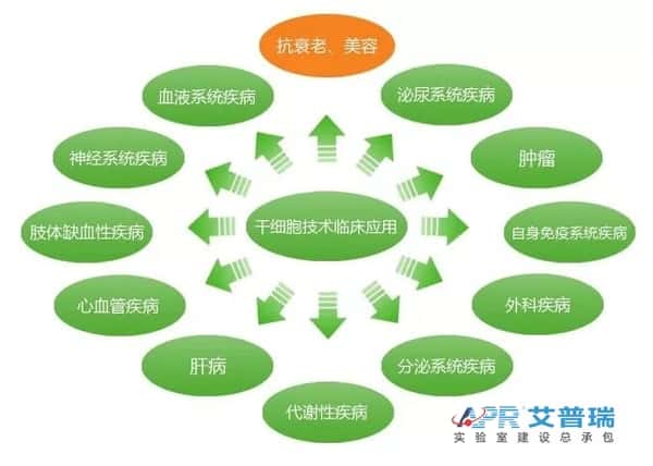 干细胞临床研究www.cdapril.com