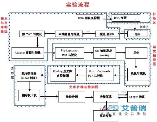遗传病诊断+肿瘤诊断与治疗技术流程（www.cdapril.com）